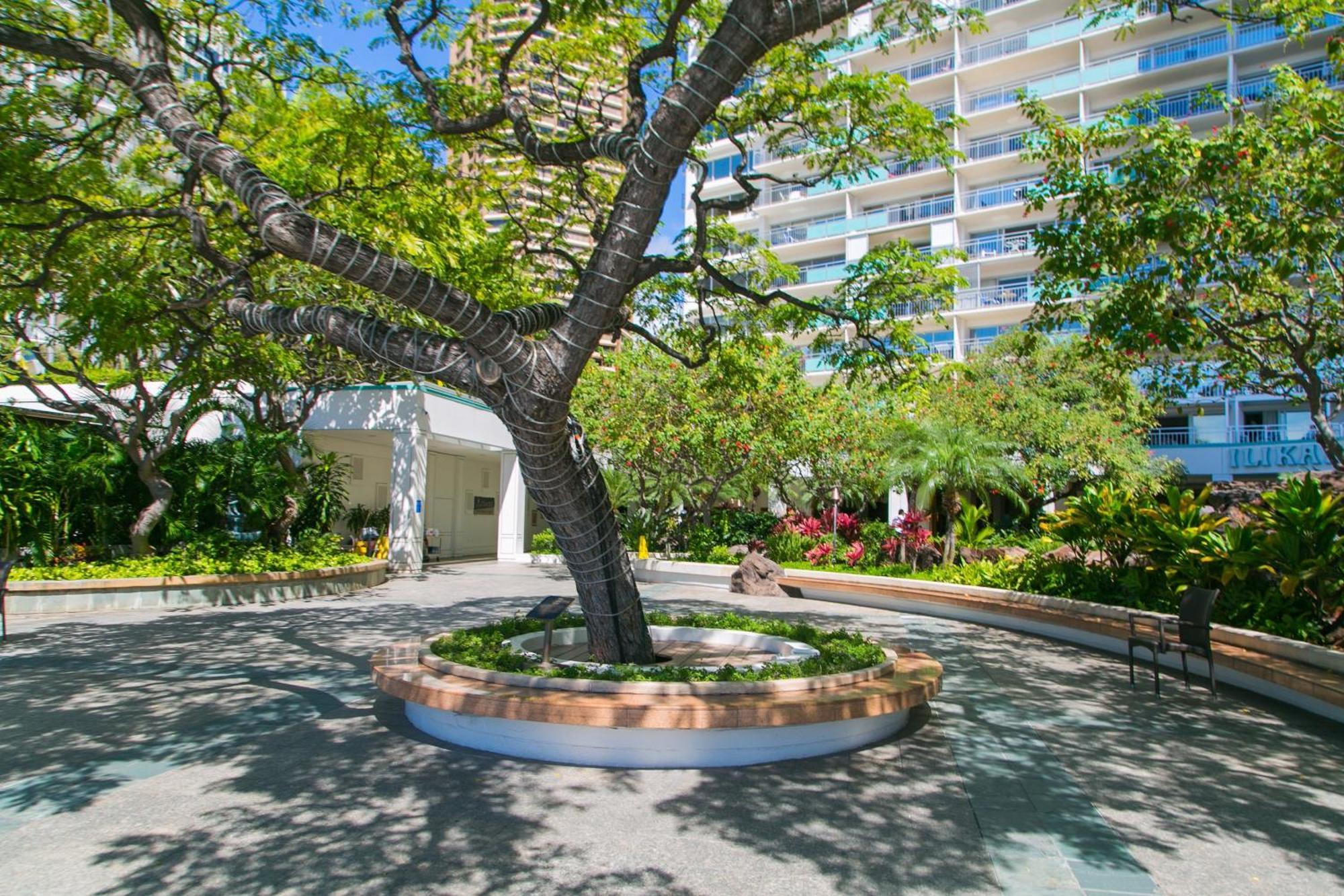 Ilikai Tower 1403 City View 1BR Honolulu Zewnętrze zdjęcie